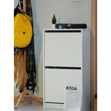 IKEA BISSA Shoe cabinet with 2 doors, white, 49x28x93 cm