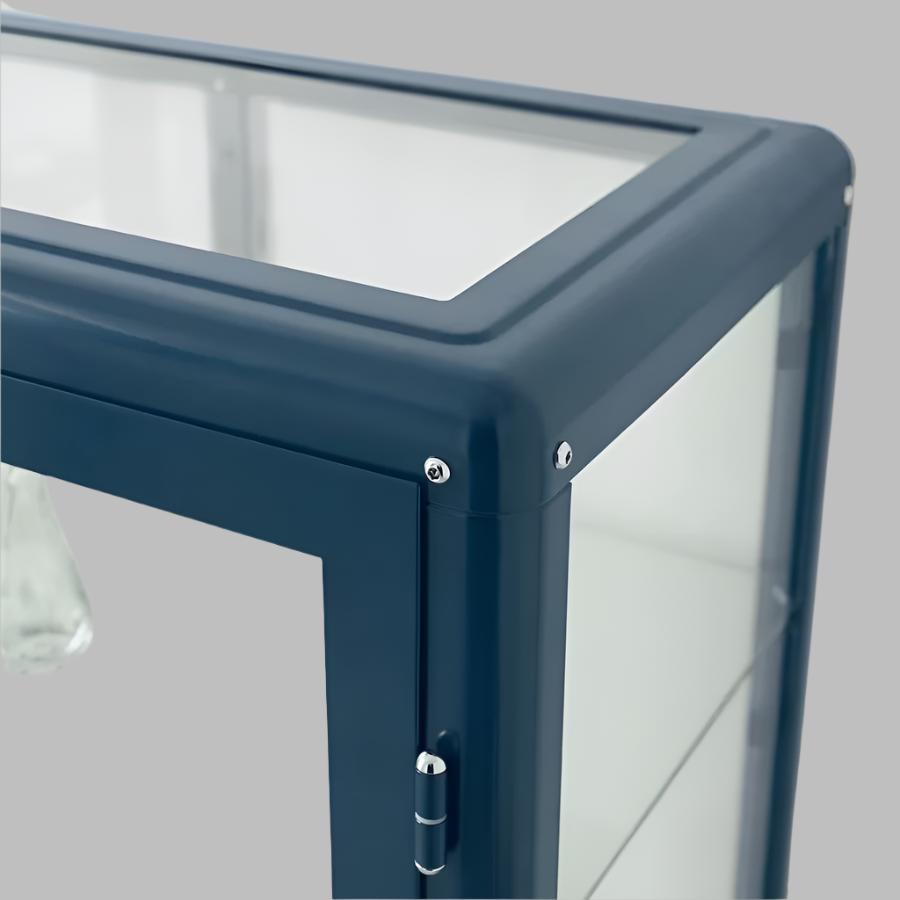 IKEA FABRIKOR Glass-door cabinet, black-blue, 81x113 cm