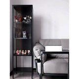 IKEA RUDSTA Glass-door cabinet, anthracite, 42x37x155 cm