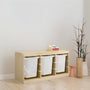 IKEA TROFAST Storage with 3 boxes, pine/white, 99x44x52 cm