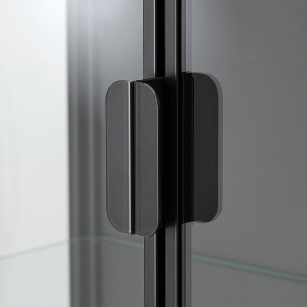 IKEA RUDSTA Glass-door cabinet, anthracite, 80x37x120 cm